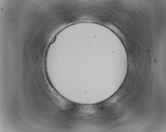 X0000060551431200512011605