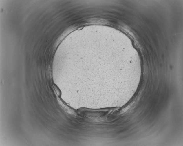 X0000060551433200512011605