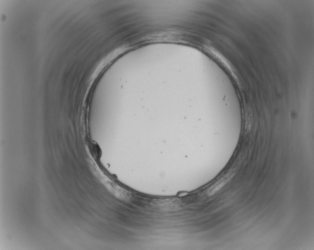 X0000060551434200512011605