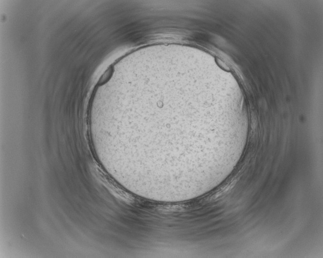 X0000060551435200512011605