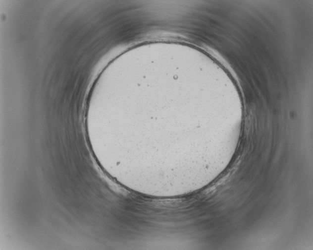 X0000060551437200512011605