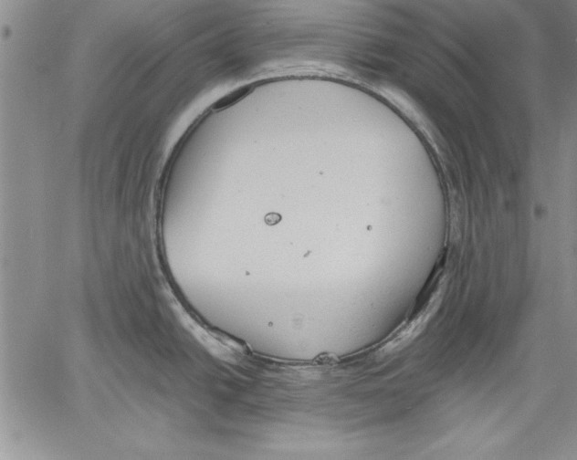 X0000060551438200512011605