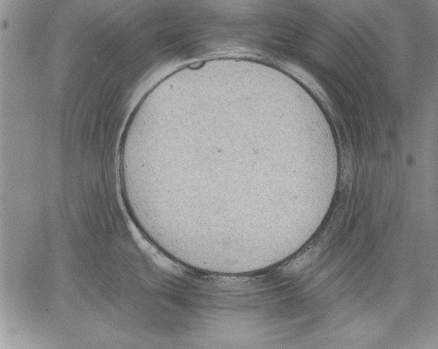 X0000060551439200512011605