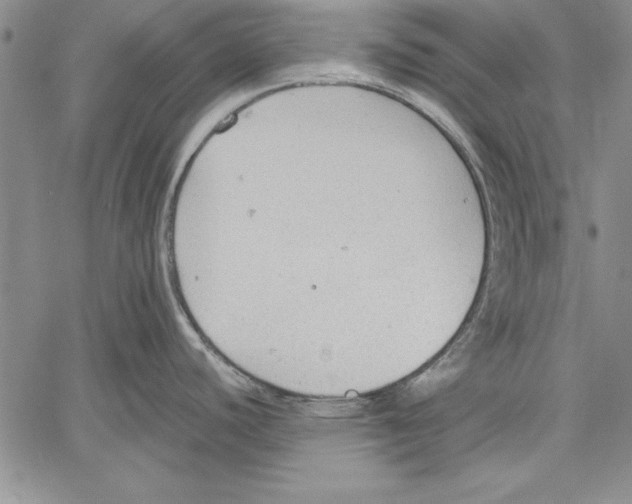 X0000060551440200512011605