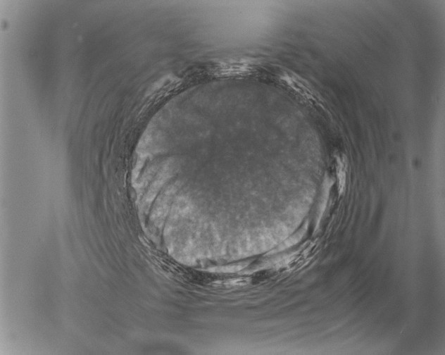 X0000060551441200512011604