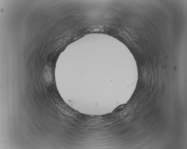 X0000060551442200512011604