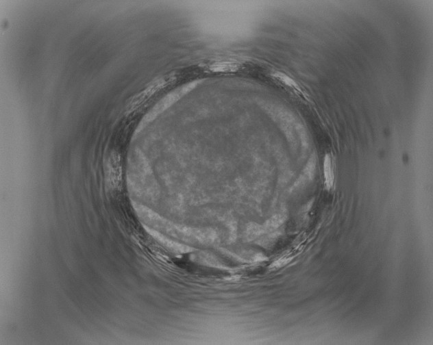 X0000060551443200512011604