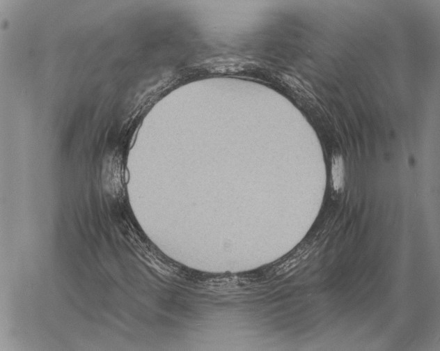 X0000060551444200512011604