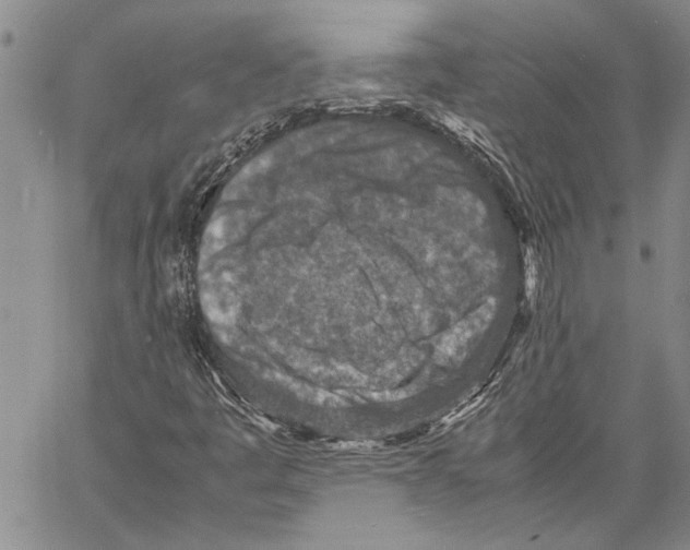 X0000060551445200512011604