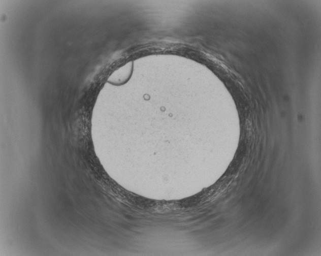 X0000060551447200512011604