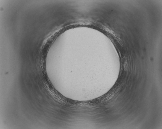 X0000060551448200512011604