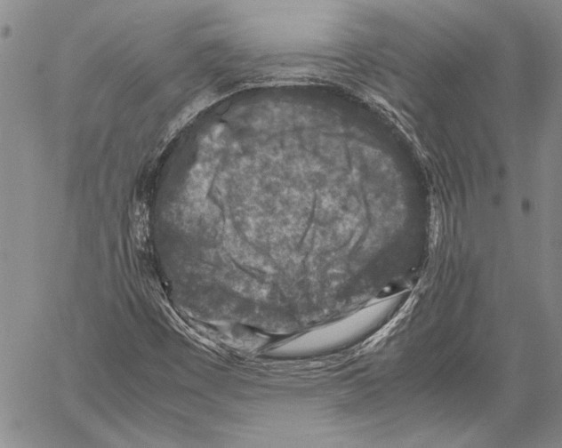 X0000060551449200512011604