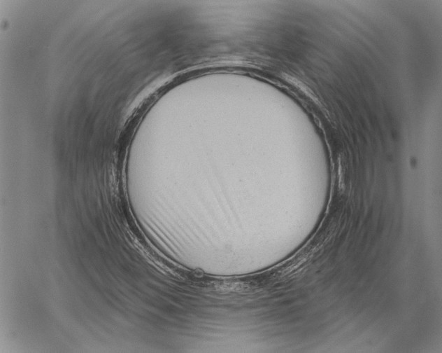 X0000060551452200512011604