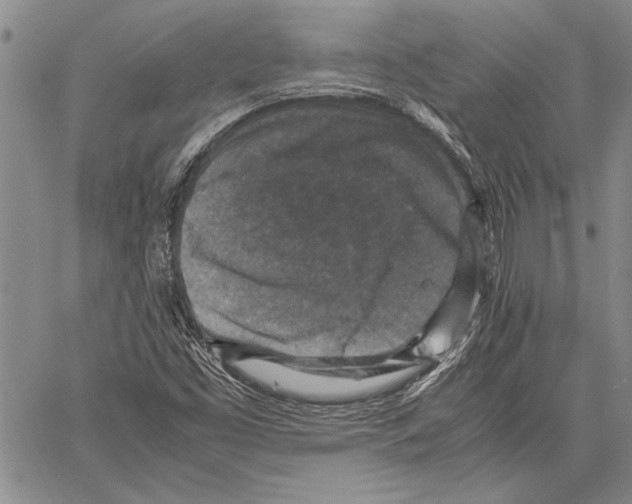 X0000060551453200512011604