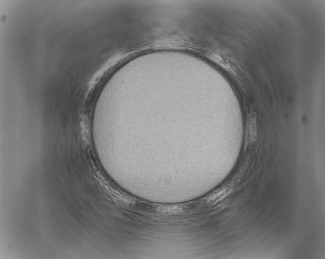 X0000060551454200512011604