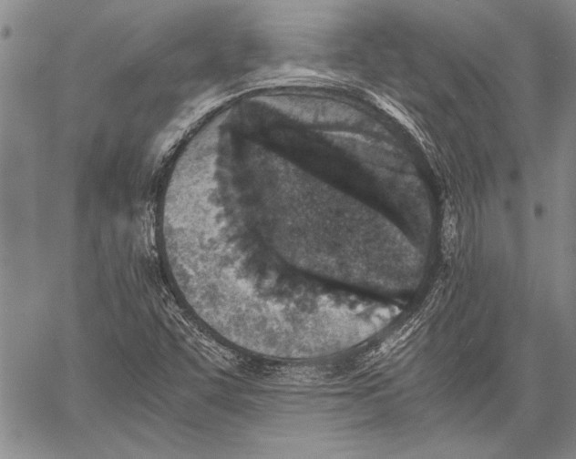 X0000060551455200512011604