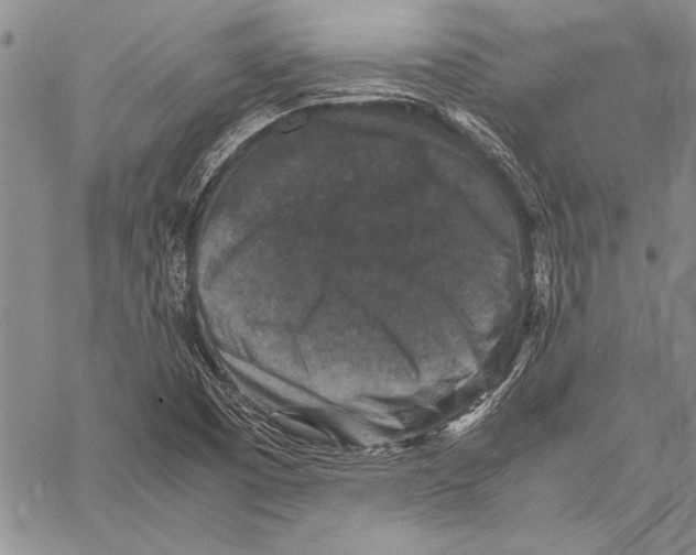 X0000060551457200512011604