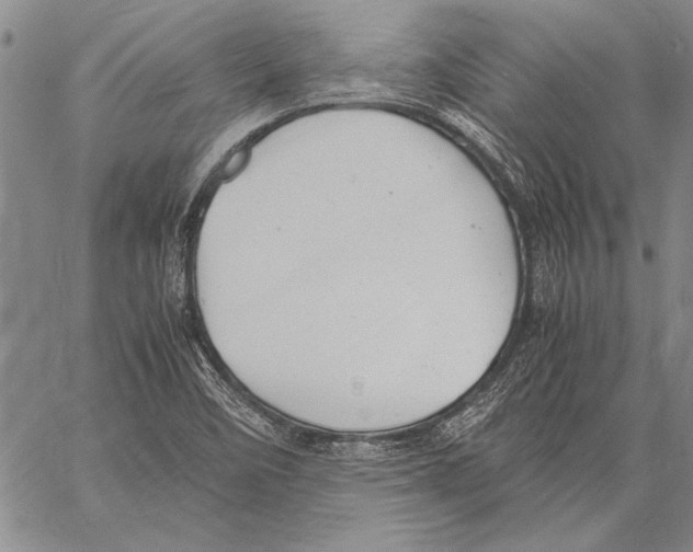 X0000060551458200512011604