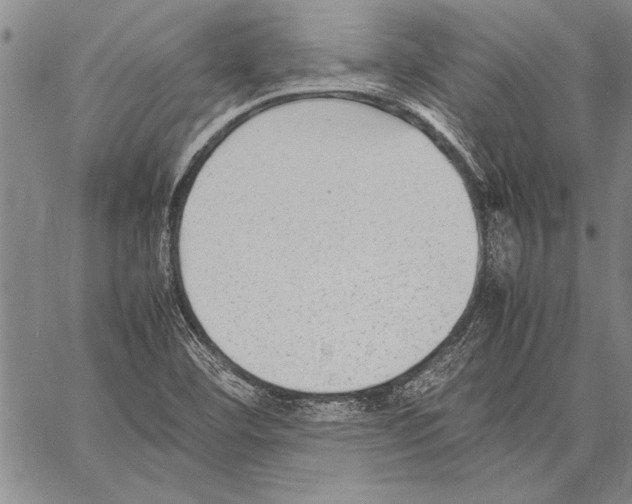 X0000060551460200512011604