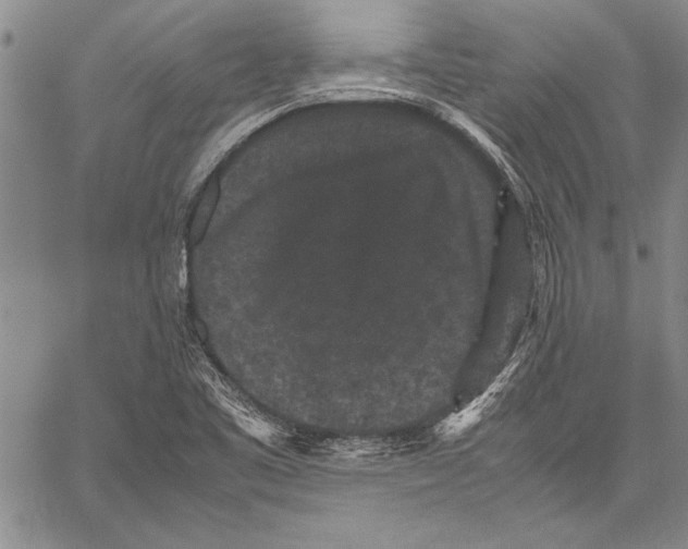 X0000060551461200512011604