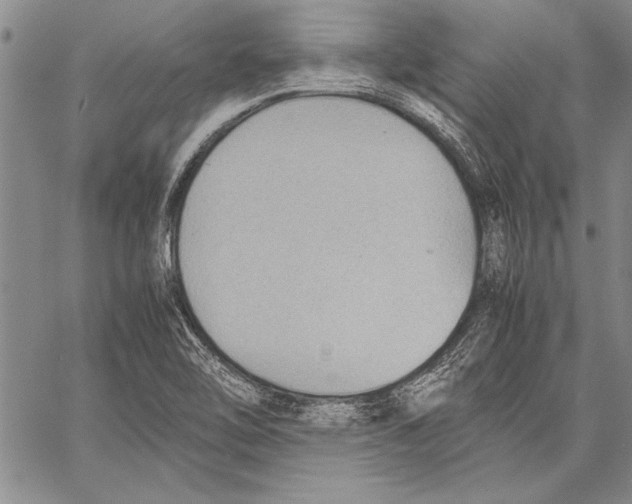 X0000060551462200512011604