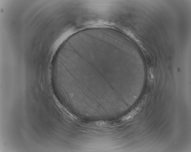 X0000060551463200512011604