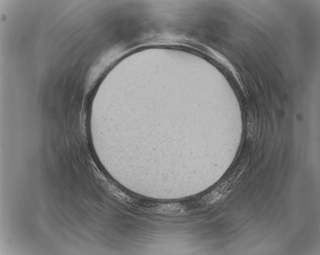 X0000060551464200512011604