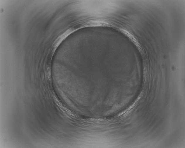 X0000060551465200512011604