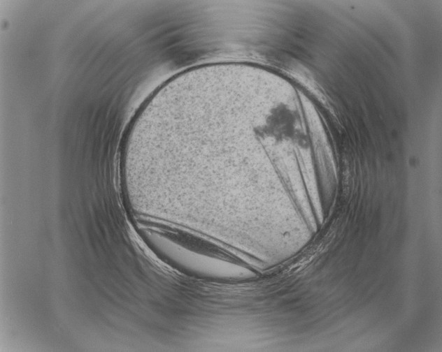 X0000060551468200512011604