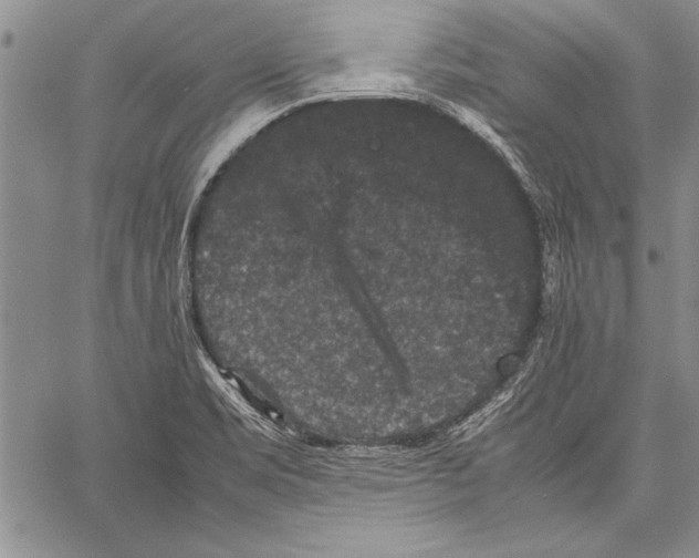 X0000060551469200512011604