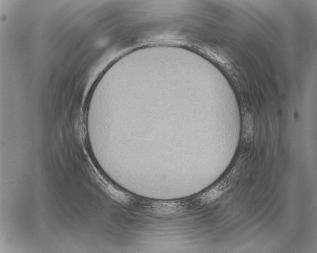 X0000060551470200512011604