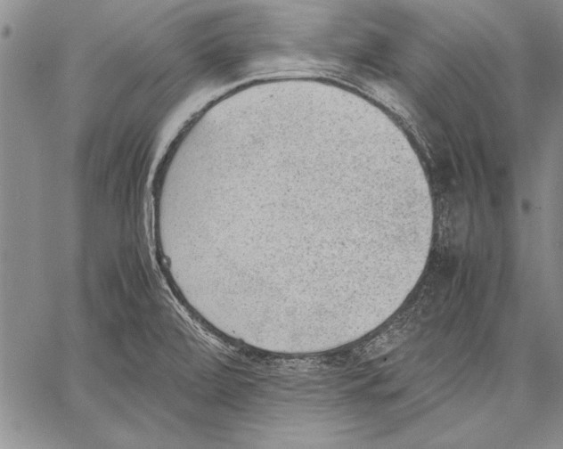 X0000060551472200512011604