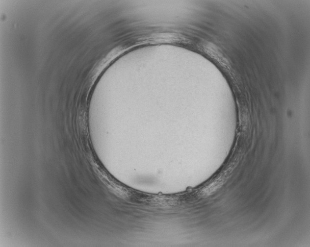 X0000060551473200512011604