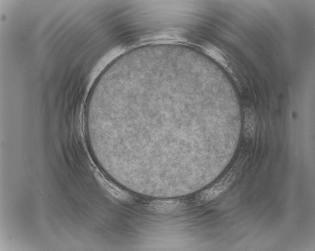 X0000060551474200512011604