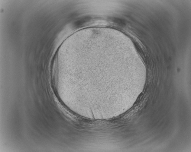 X0000060551475200512011604