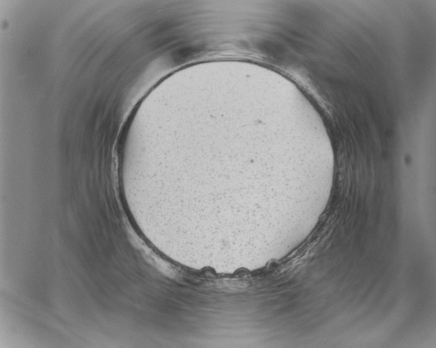 X0000060551476200512011604