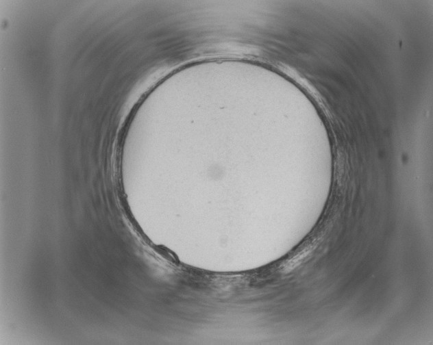 X0000060551477200512011604