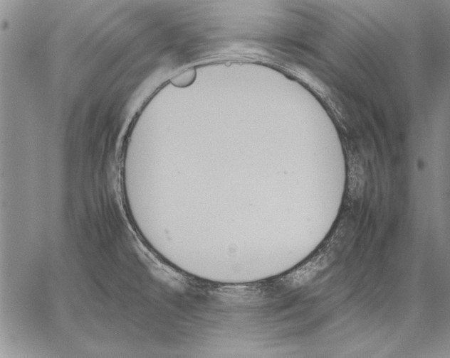 X0000060551478200512011603