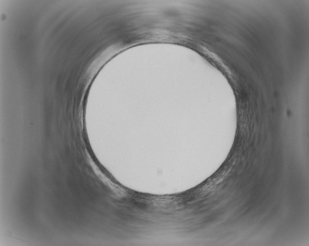 X0000060551479200512011603