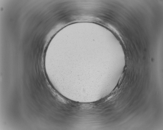 X0000060551480200512011603