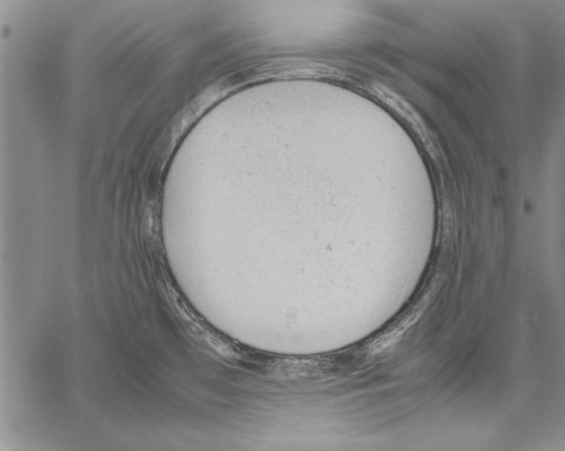 X0000060551481200512011603