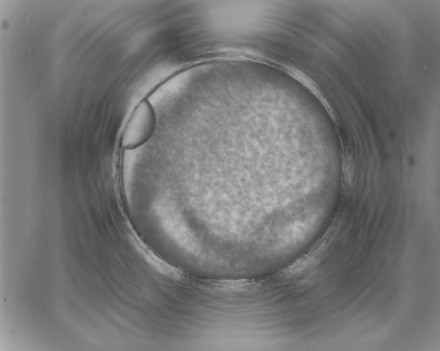 X0000060551482200512011603