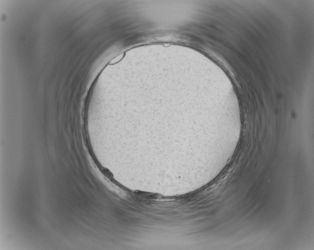 X0000060551483200512011603