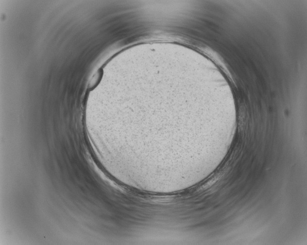 X0000060551484200512011603