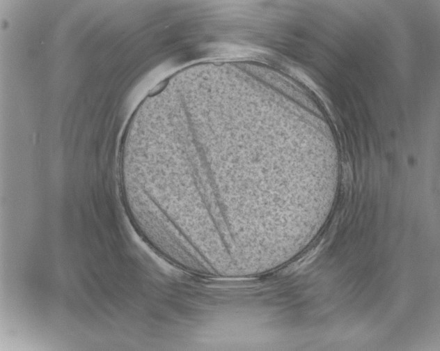 X0000060551487200512011603