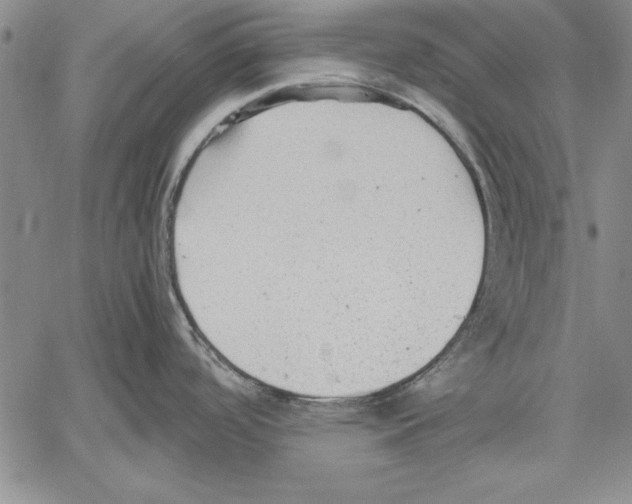 X0000060551488200512011603