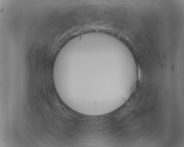 X0000060551492200512011603