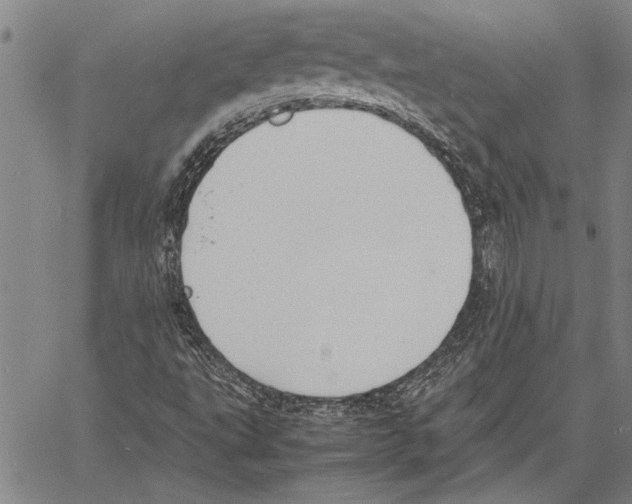 X0000060551495200512011603