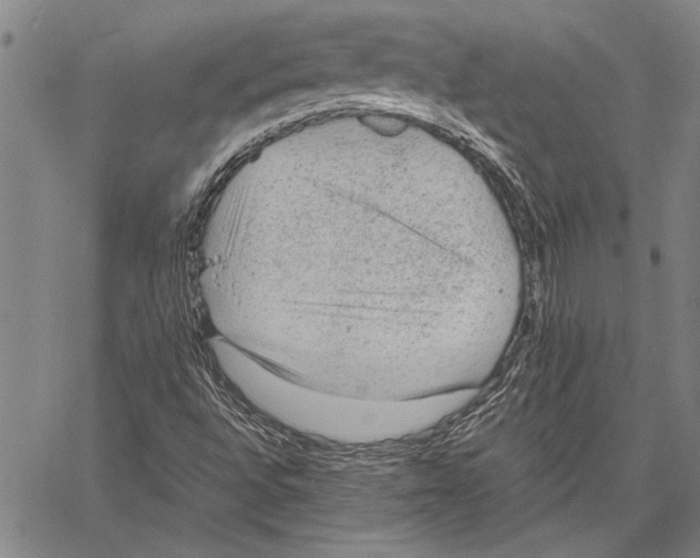 X0000060551496200512011603