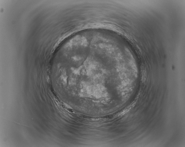 X0000060551497200512011603